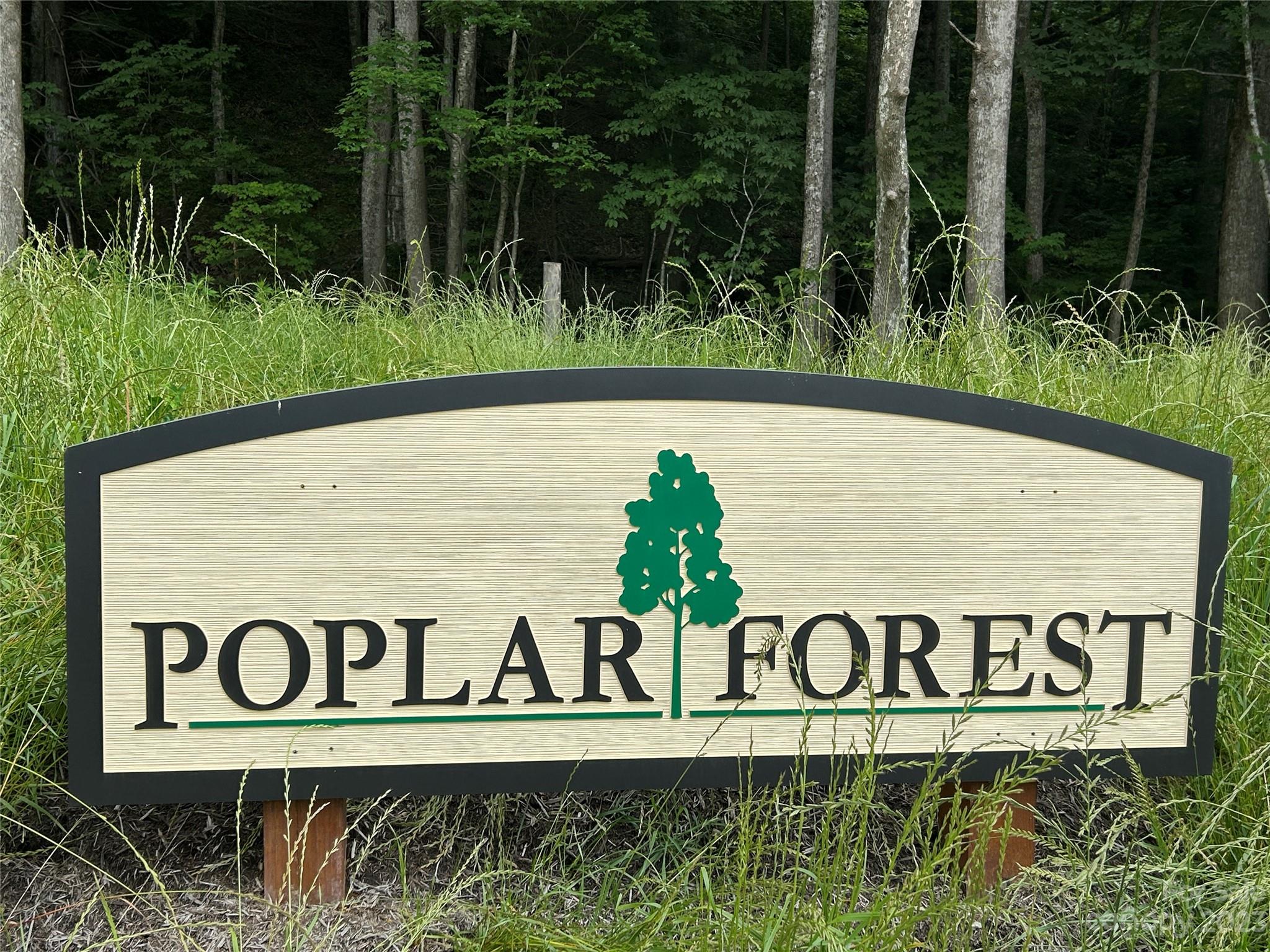 Lot 64 Poplar Forest Drive Property Photo 3