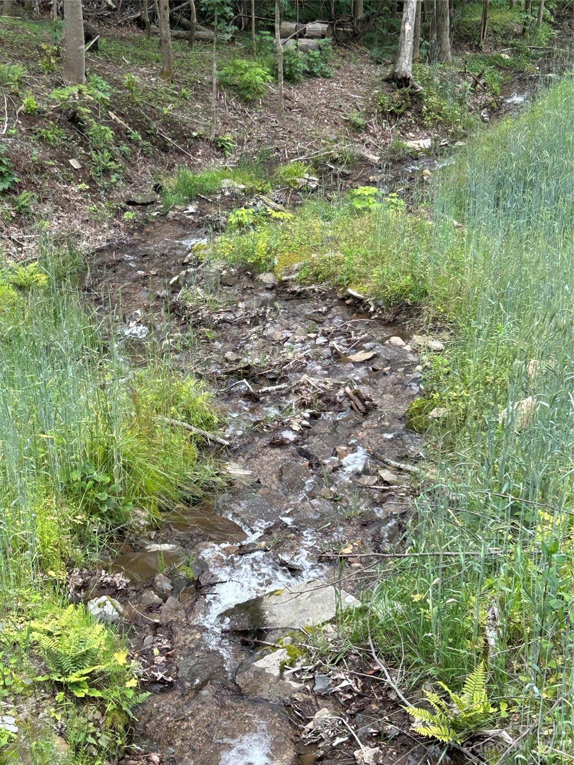 Lot 64 Poplar Forest Drive Property Photo 9