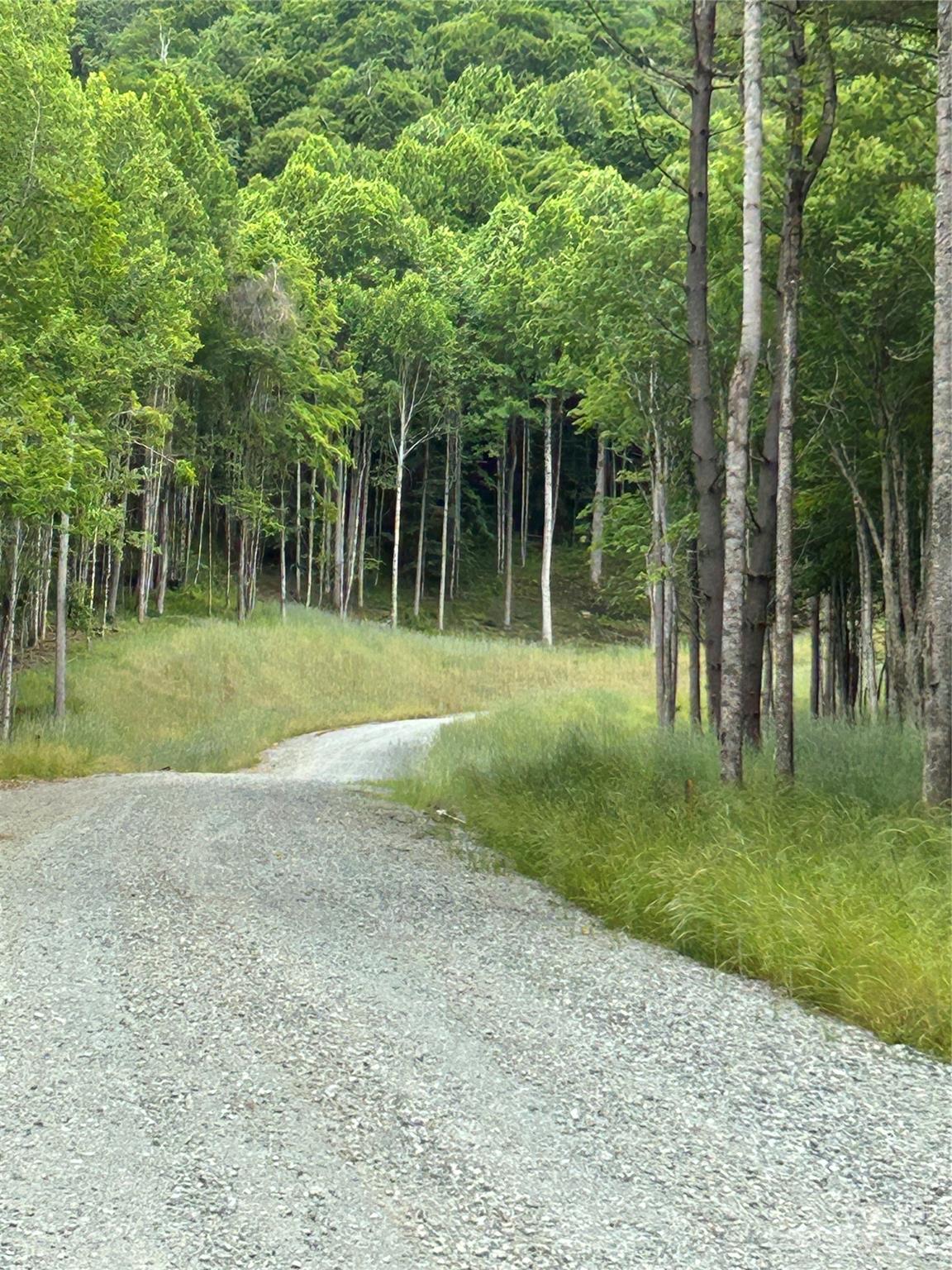 Lot 64 Poplar Forest Drive Property Photo 10