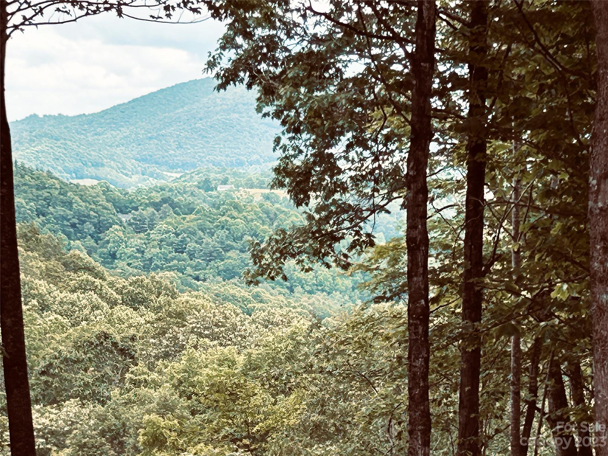 Lot 64 Poplar Forest Drive Property Photo 12