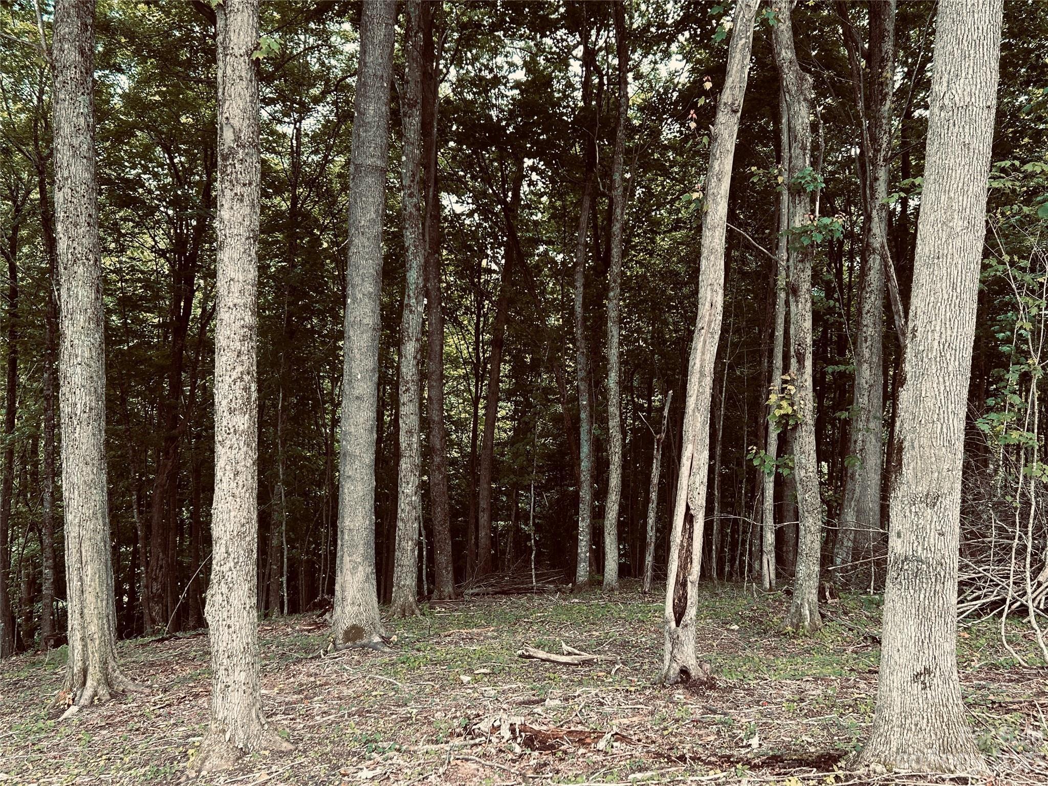 Lot 64 Poplar Forest Drive Property Photo 13