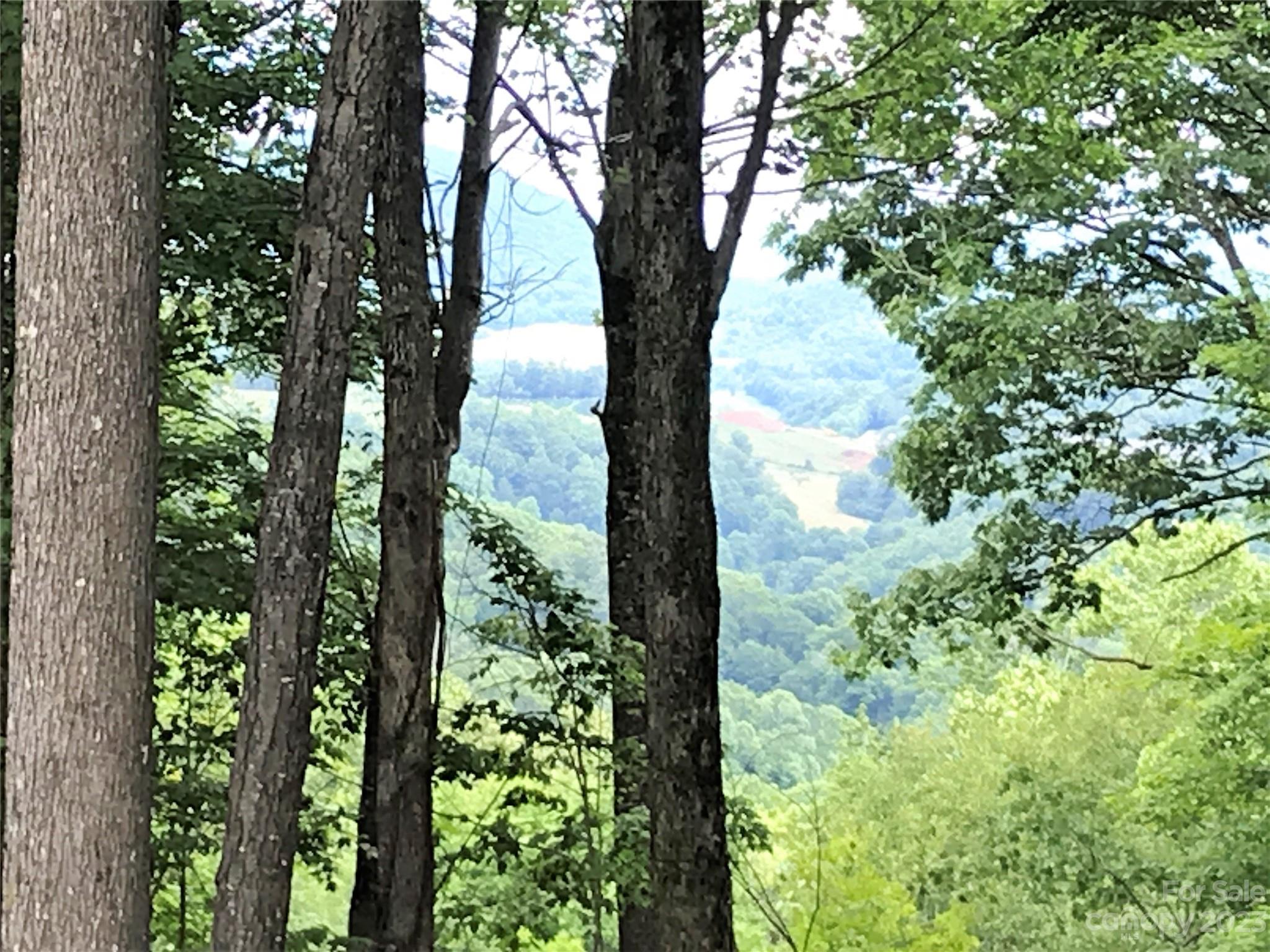 Lot 64 Poplar Forest Drive Property Photo 14