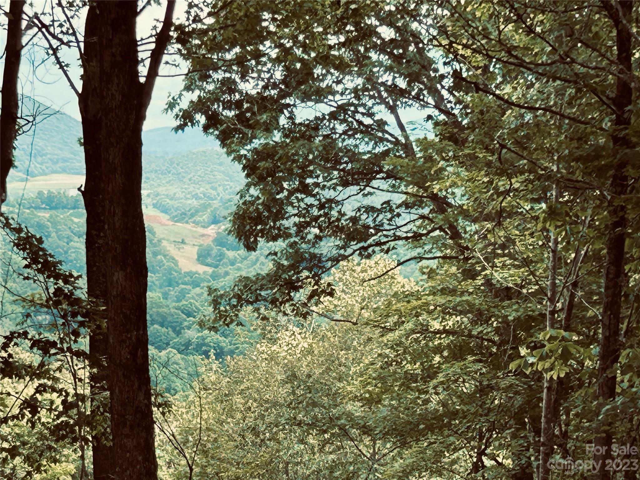 Lot 64 Poplar Forest Drive Property Photo 16