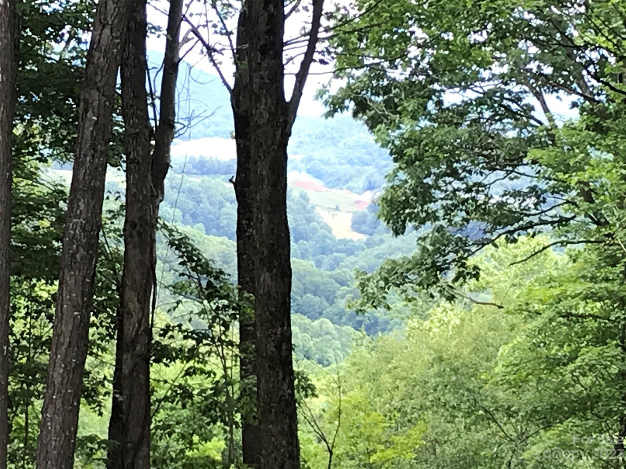 Lot 64 Poplar Forest Drive Property Photo 19