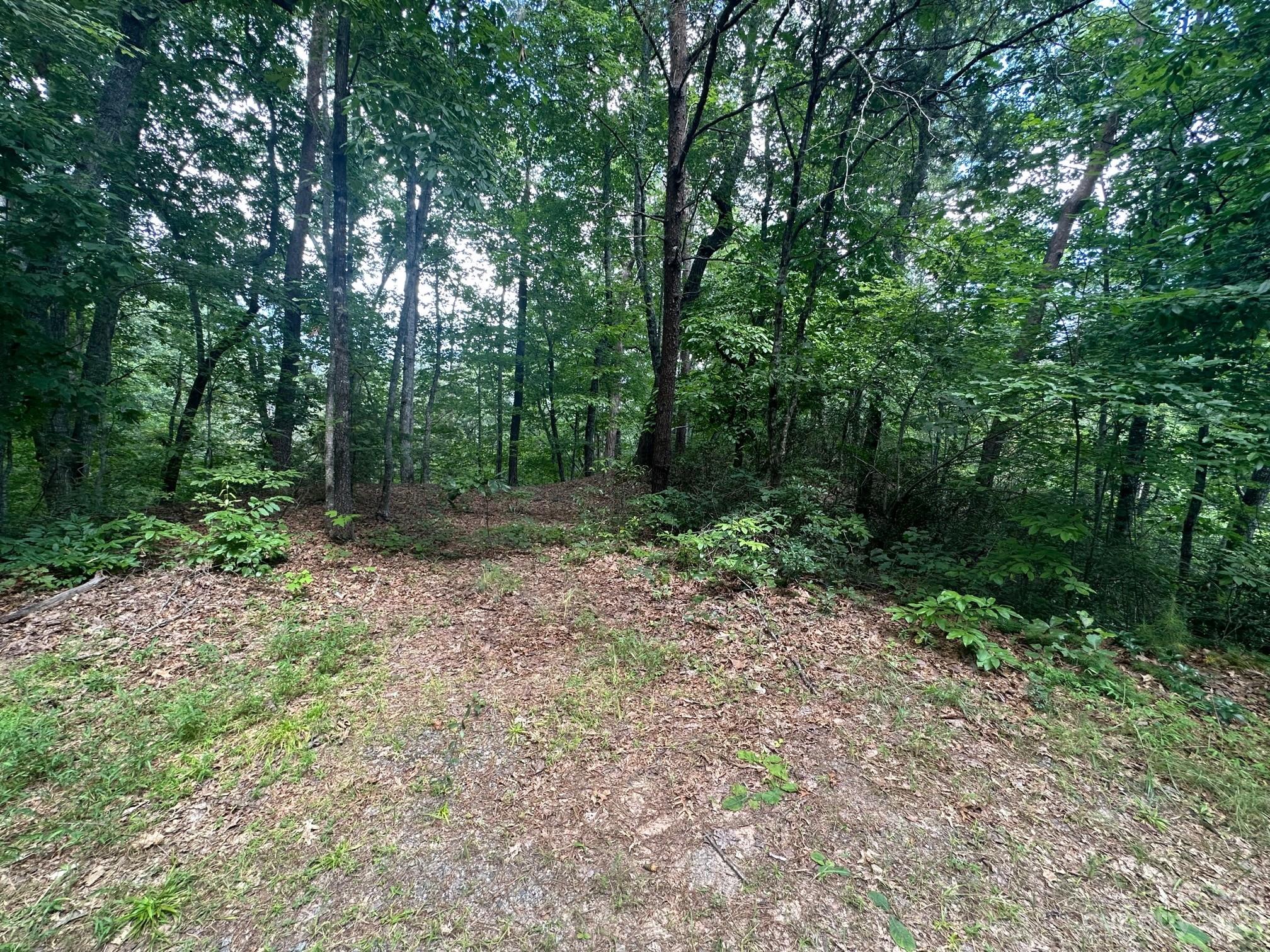 0000 Justice Drive Property Photo