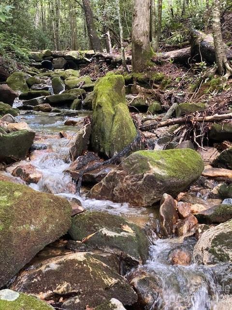 619 Speckled Feather Pass Property Photo 1