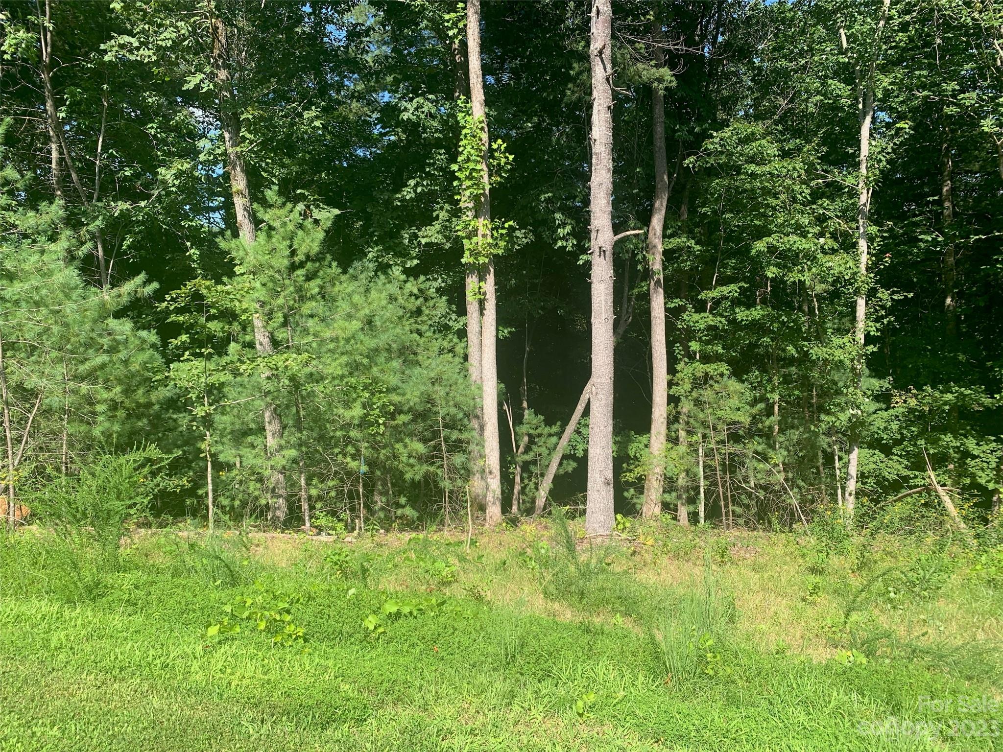 2.32 Acres Lot 72 Round Mountain Parkway Lot 72 Property Photo 3
