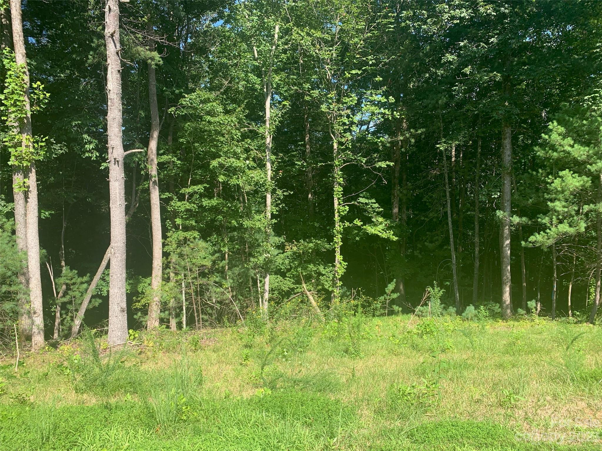 2.32 Acres Lot 72 Round Mountain Parkway Lot 72 Property Photo 4