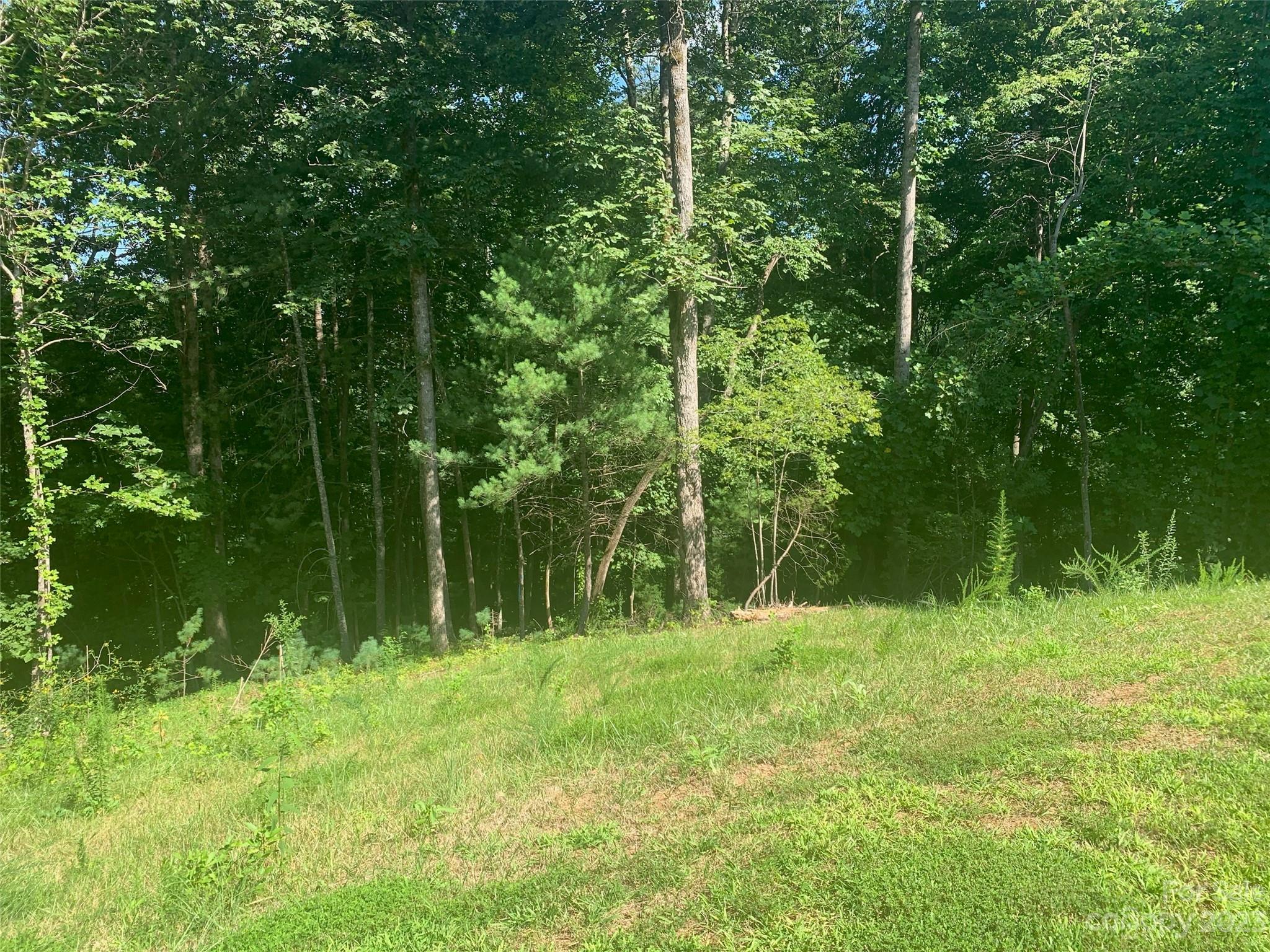 2.32 Acres Lot 72 Round Mountain Parkway Lot 72 Property Photo 5