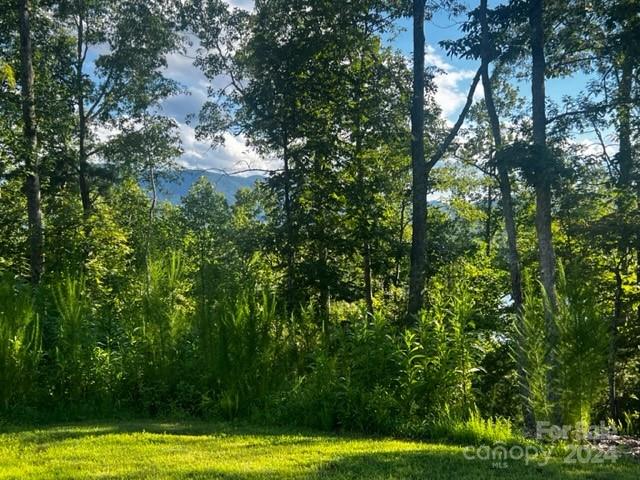 23 Mountain Parkway Property Photo 1