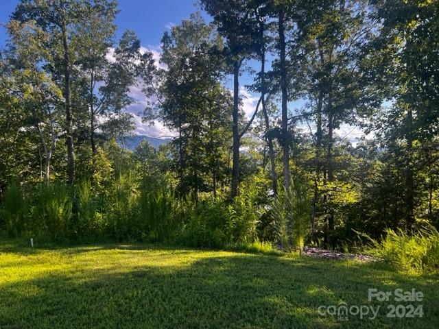 23 Mountain Parkway Property Photo 2