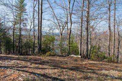 23 Mountain Parkway Property Photo 3