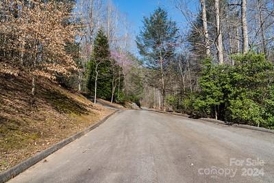 23 Mountain Parkway Property Photo 4