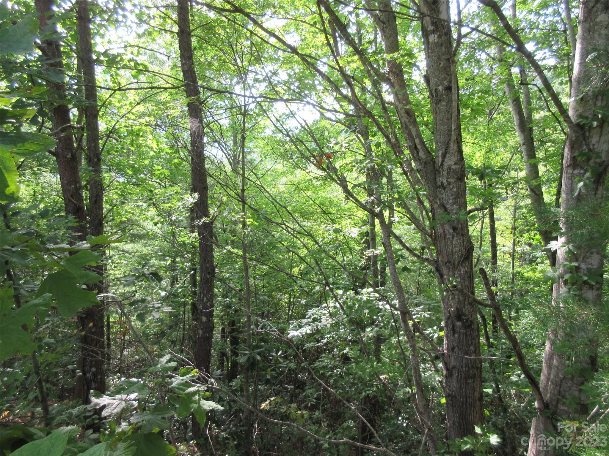 Lot 28 Linville Drive Property Photo 1