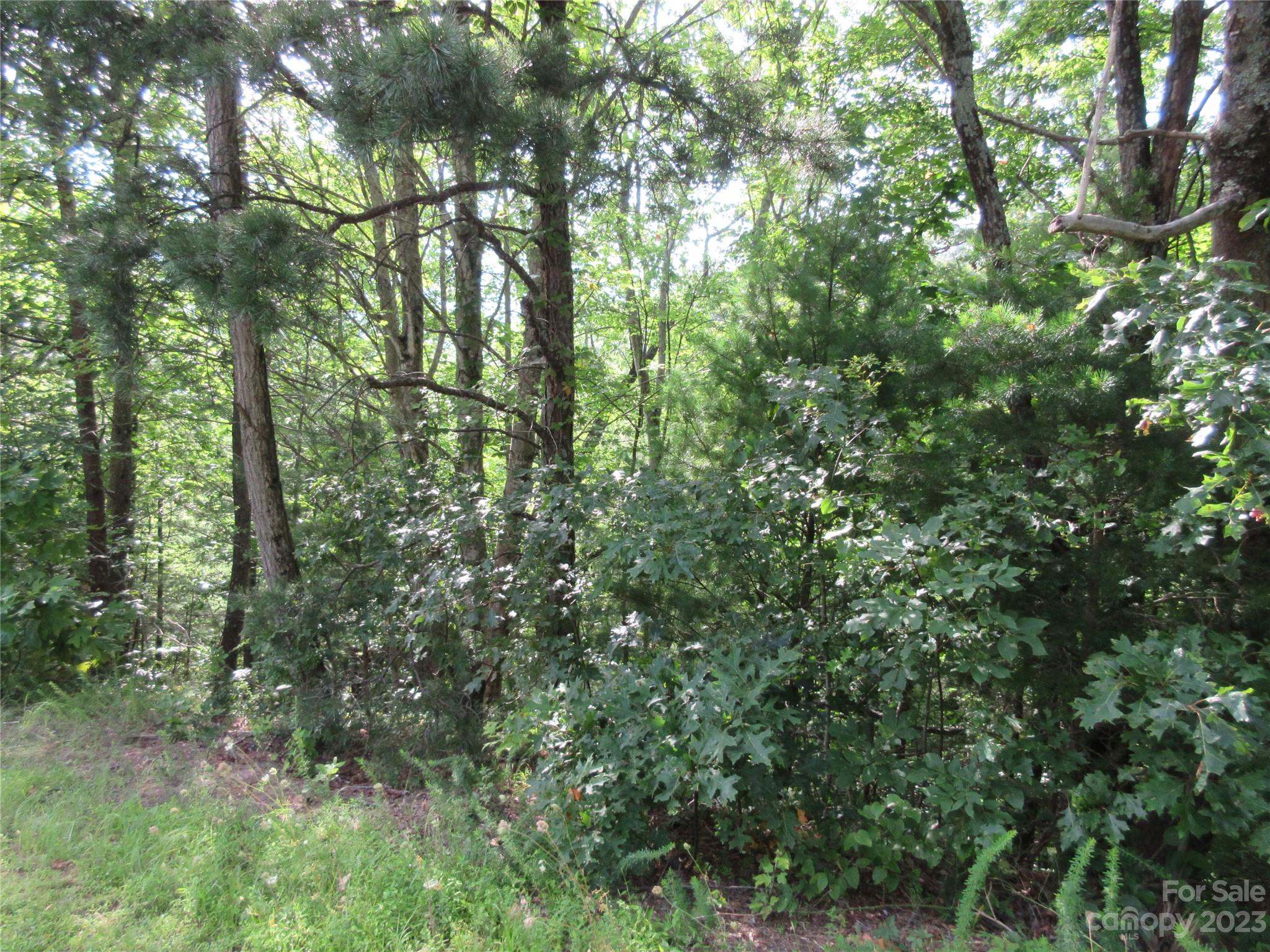 Lot 29 Linville Drive Property Photo 1