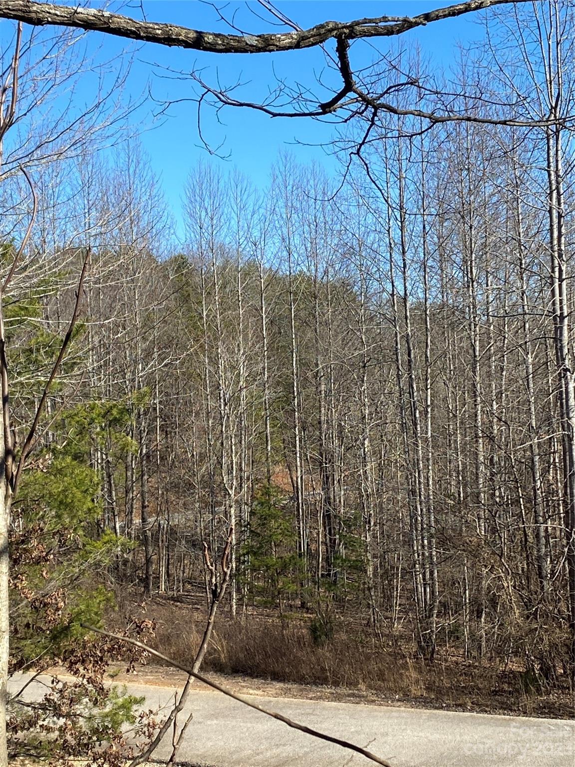 Lot 60 Clear Spring Trail 60 Property Photo