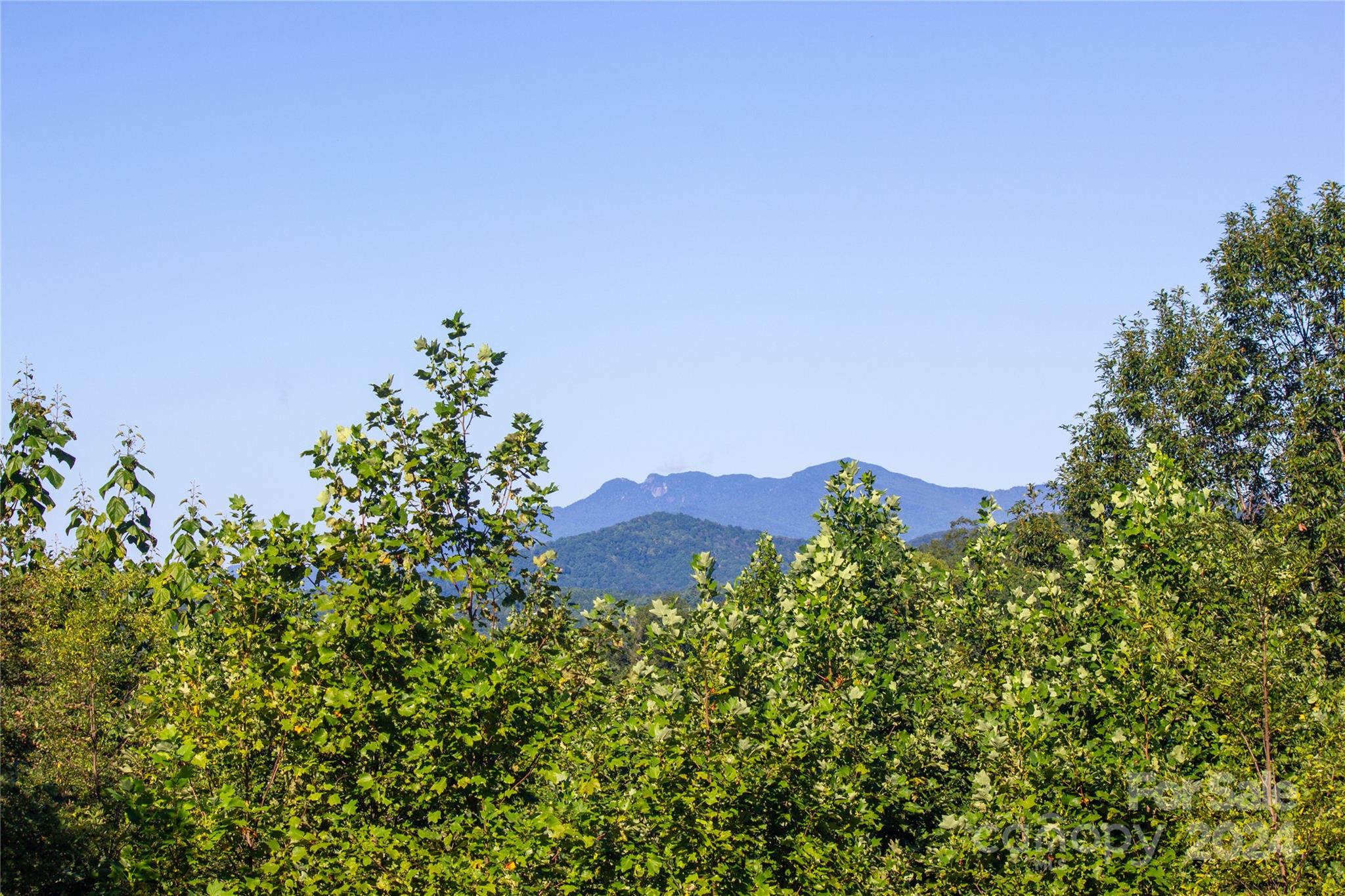 Lot# 134 Fire Crest Lane 134 Property Photo
