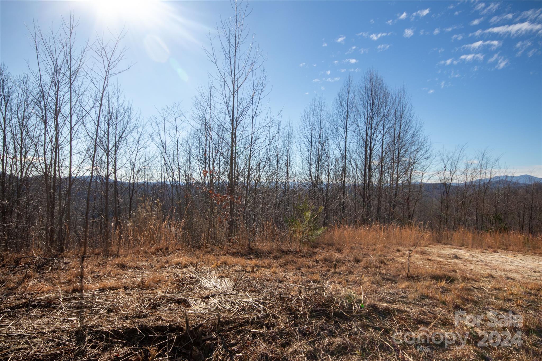 Lot# 134 Fire Crest Lane 134 Property Photo 2