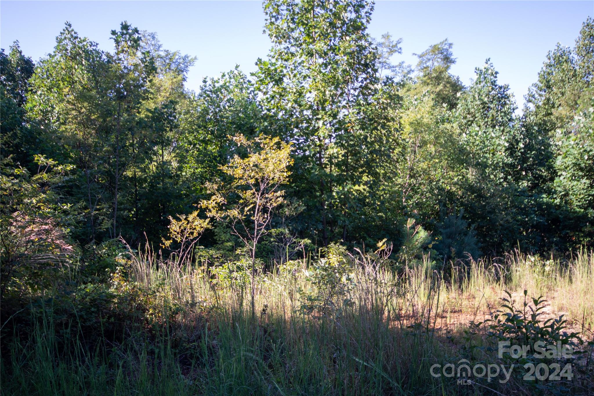 Lot# 134 Fire Crest Lane 134 Property Photo 10