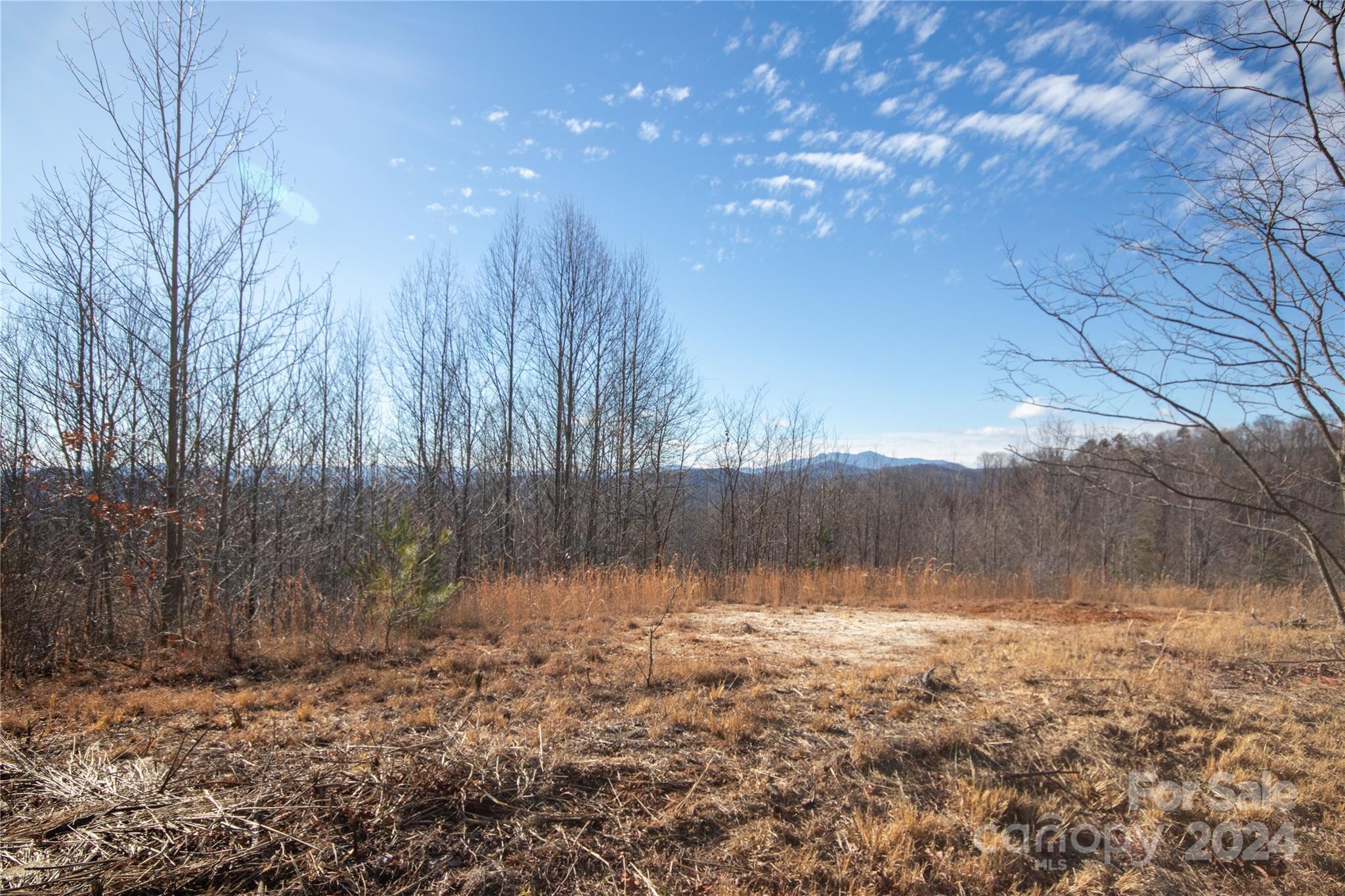 Lot# 134 Fire Crest Lane 134 Property Photo 12