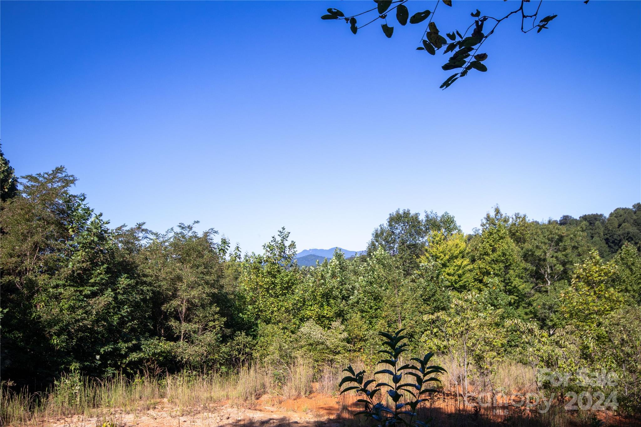 Lot# 134 Fire Crest Lane 134 Property Photo 13