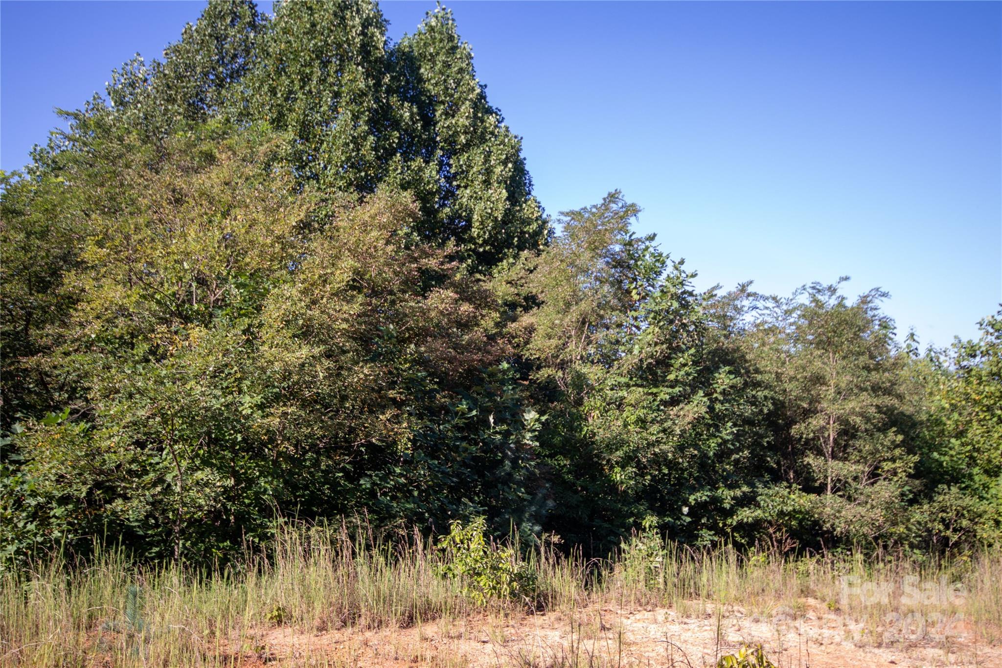 Lot# 134 Fire Crest Lane 134 Property Photo 15