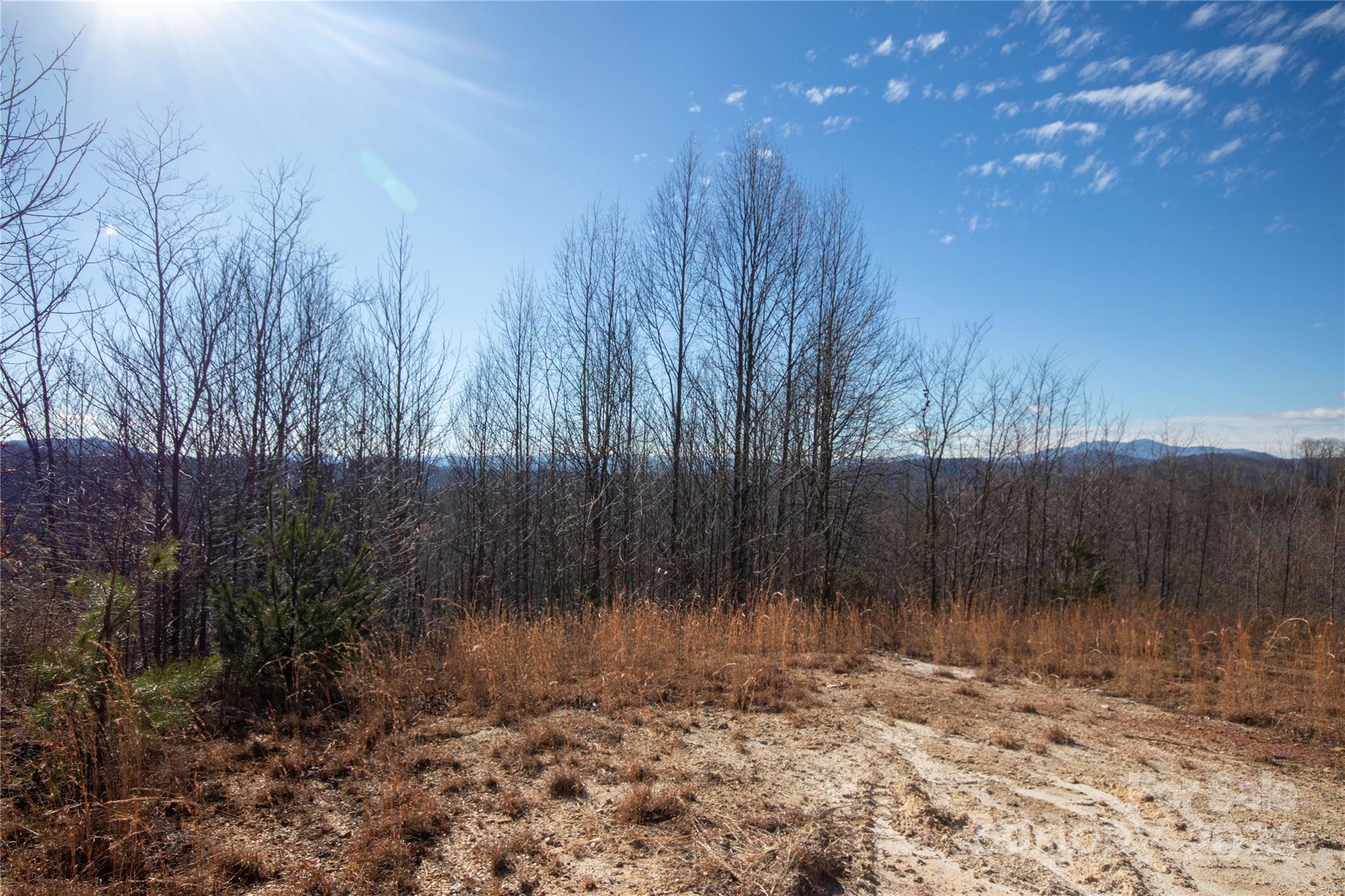 Lot# 134 Fire Crest Lane 134 Property Photo 16