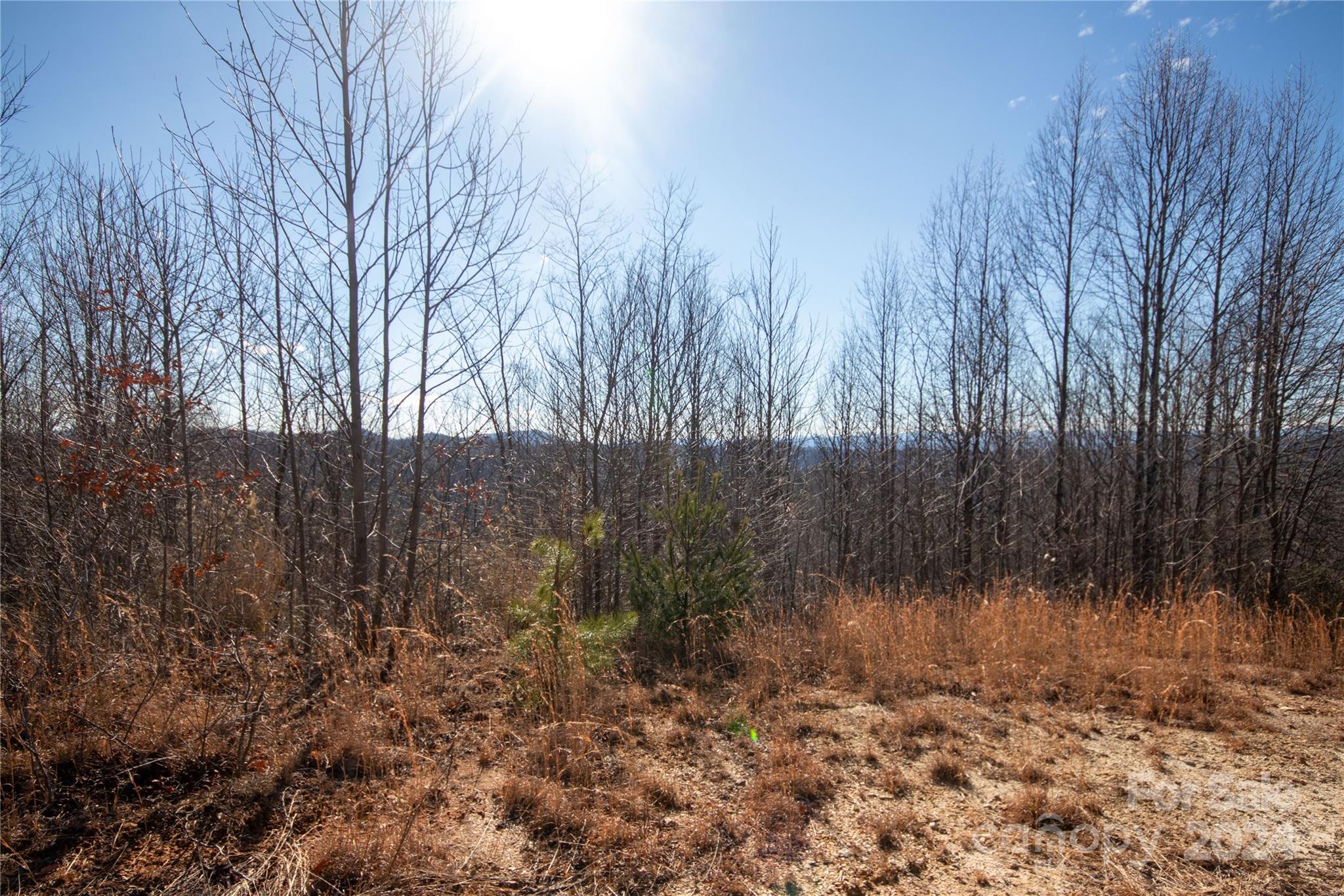 Lot# 134 Fire Crest Lane 134 Property Photo 17