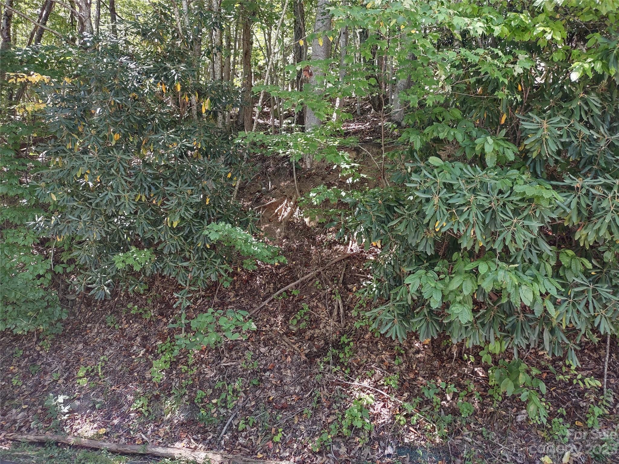 99999 High Vista Drive Lot 69 Property Photo 6