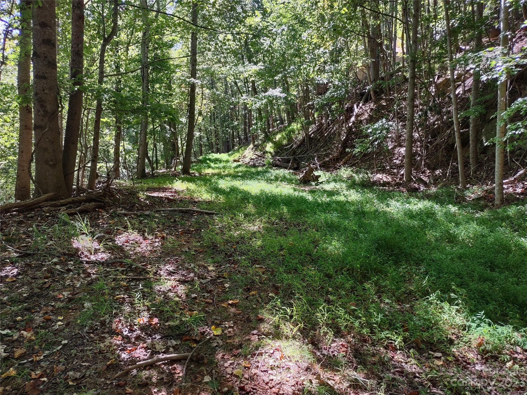 99999 High Vista Drive Lot 69 Property Photo 7