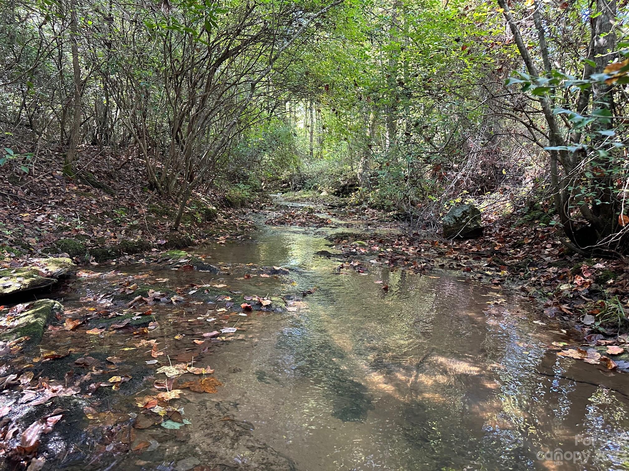 Tbd Dirty Ankle Road Property Photo