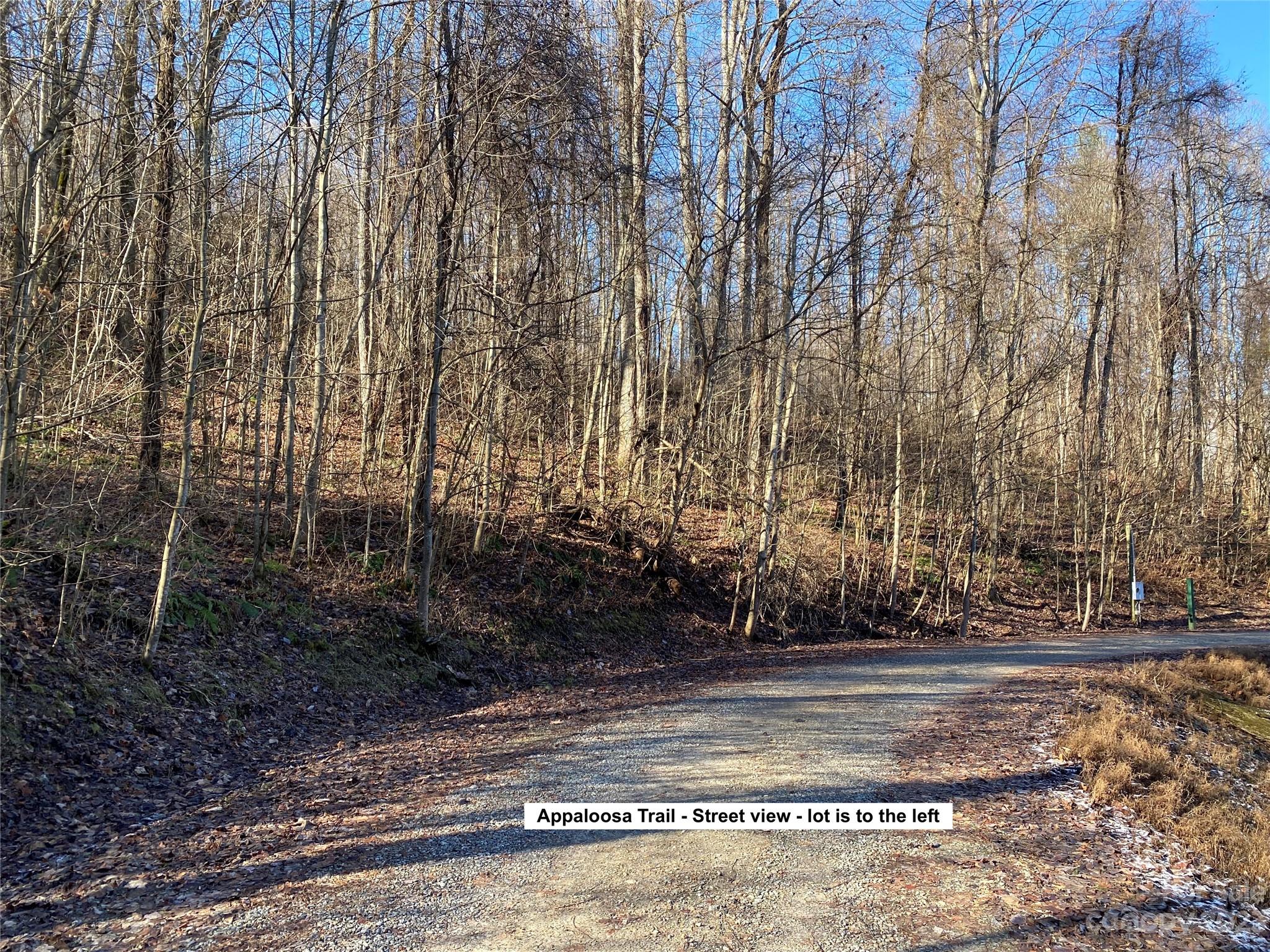 Lot 28 Appaloosa Trail Property Photo