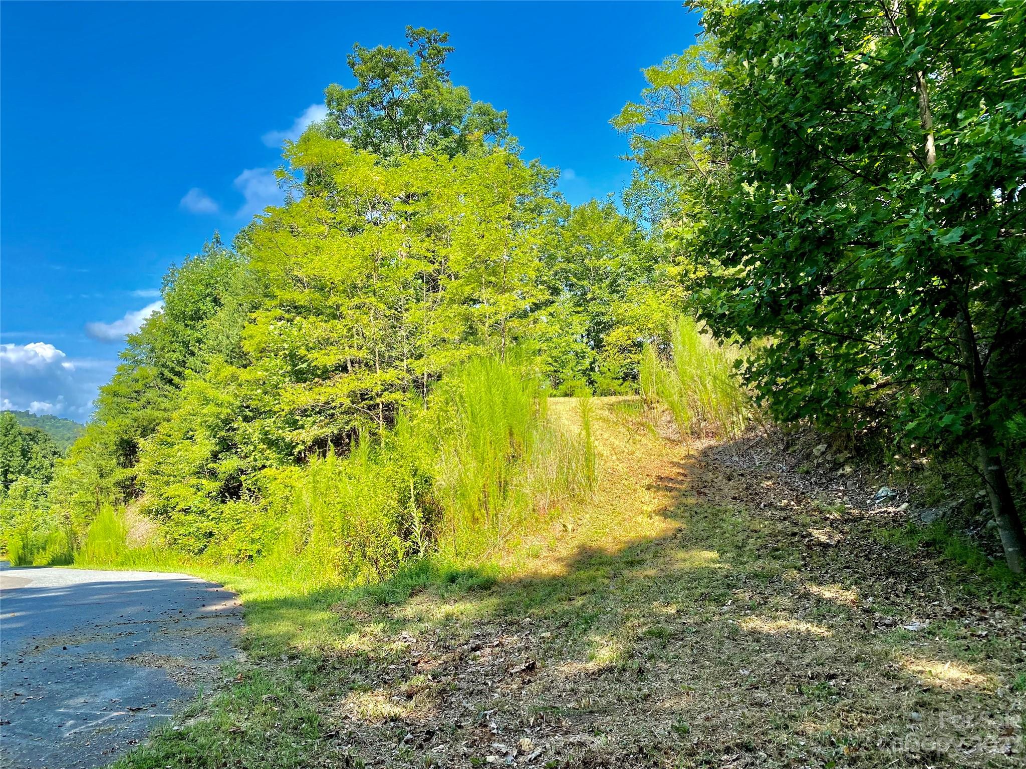 Lot 1 Pinnacle Drive Property Photo 4