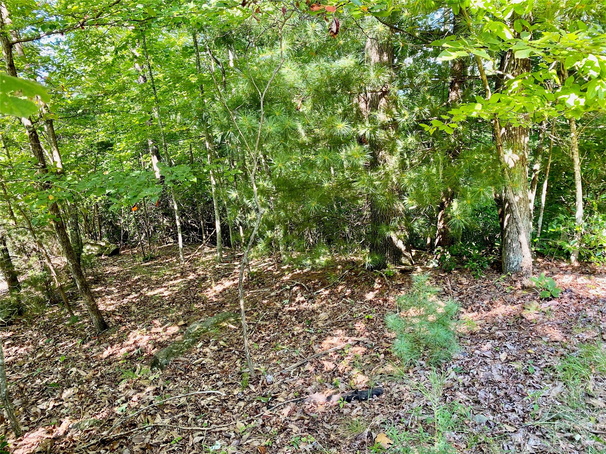 Lot 1 Pinnacle Drive Property Photo 5