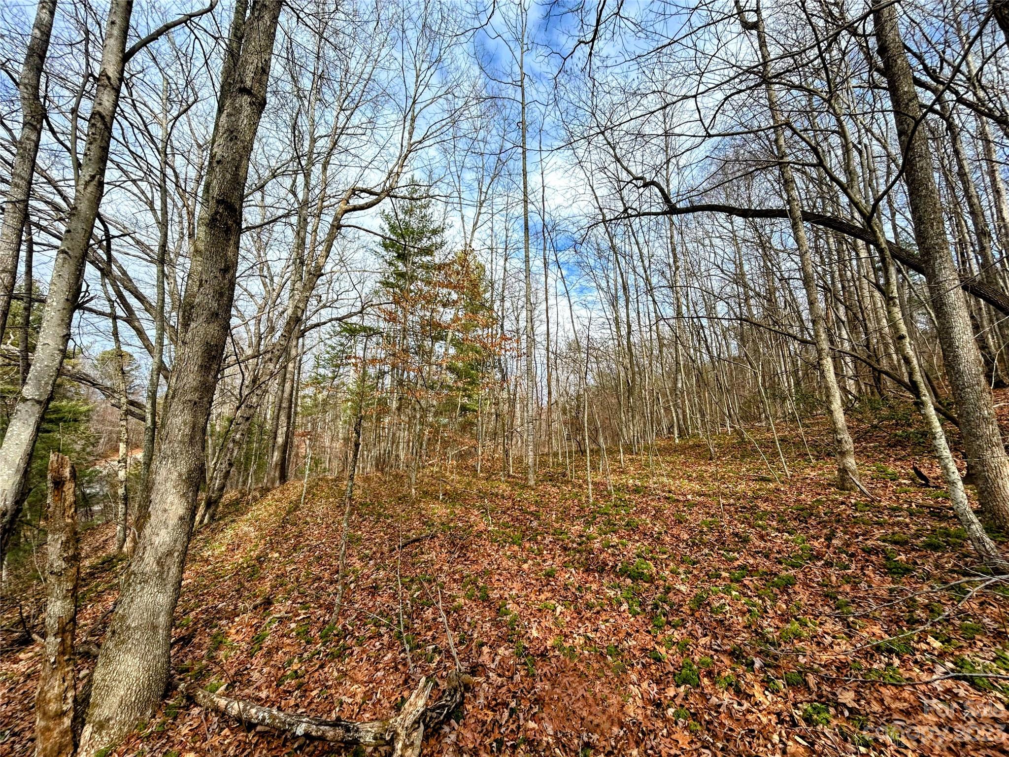 Lot 8 Azalea Way Property Photo