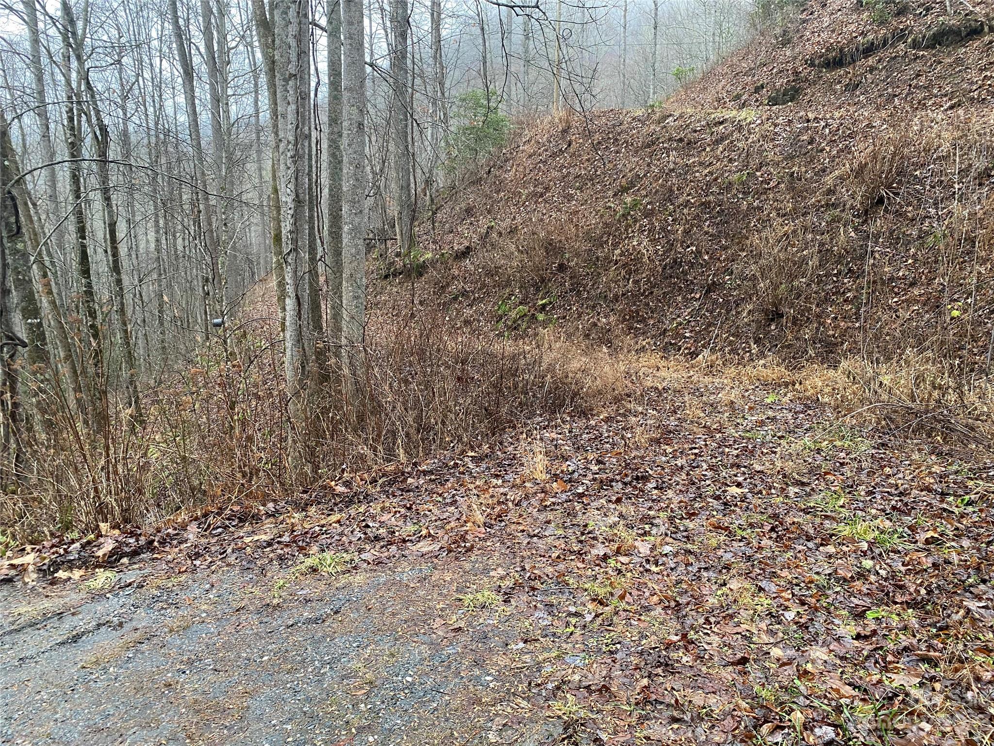 Tr 17b Forest Run Road Property Photo