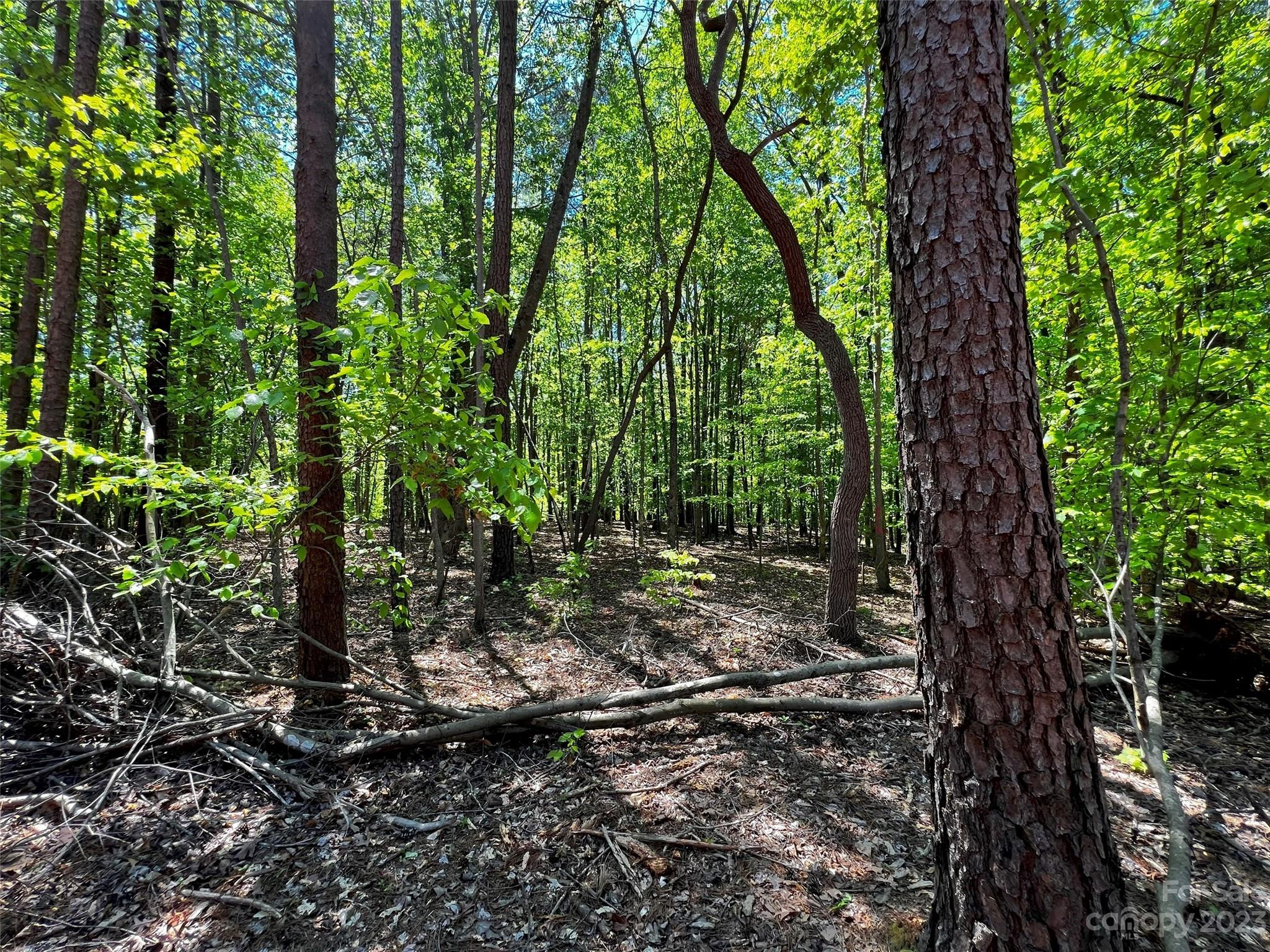 109 Hunt Camp Trail 19 Property Photo 12