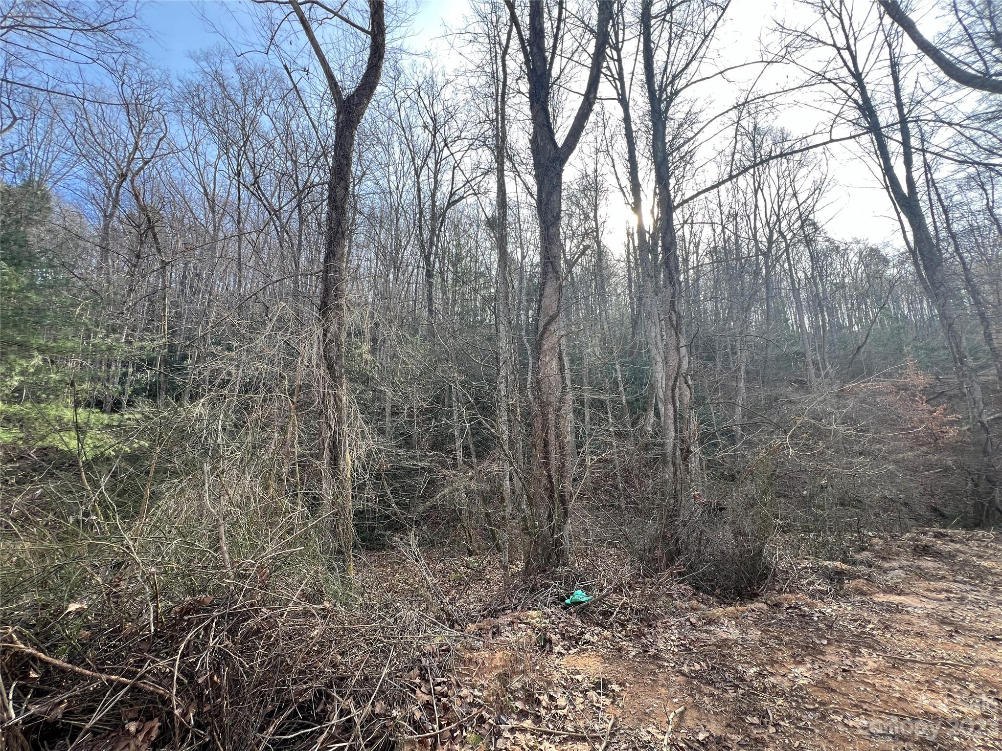 Lot 19 Oakdale Estates Drive Property Photo 1