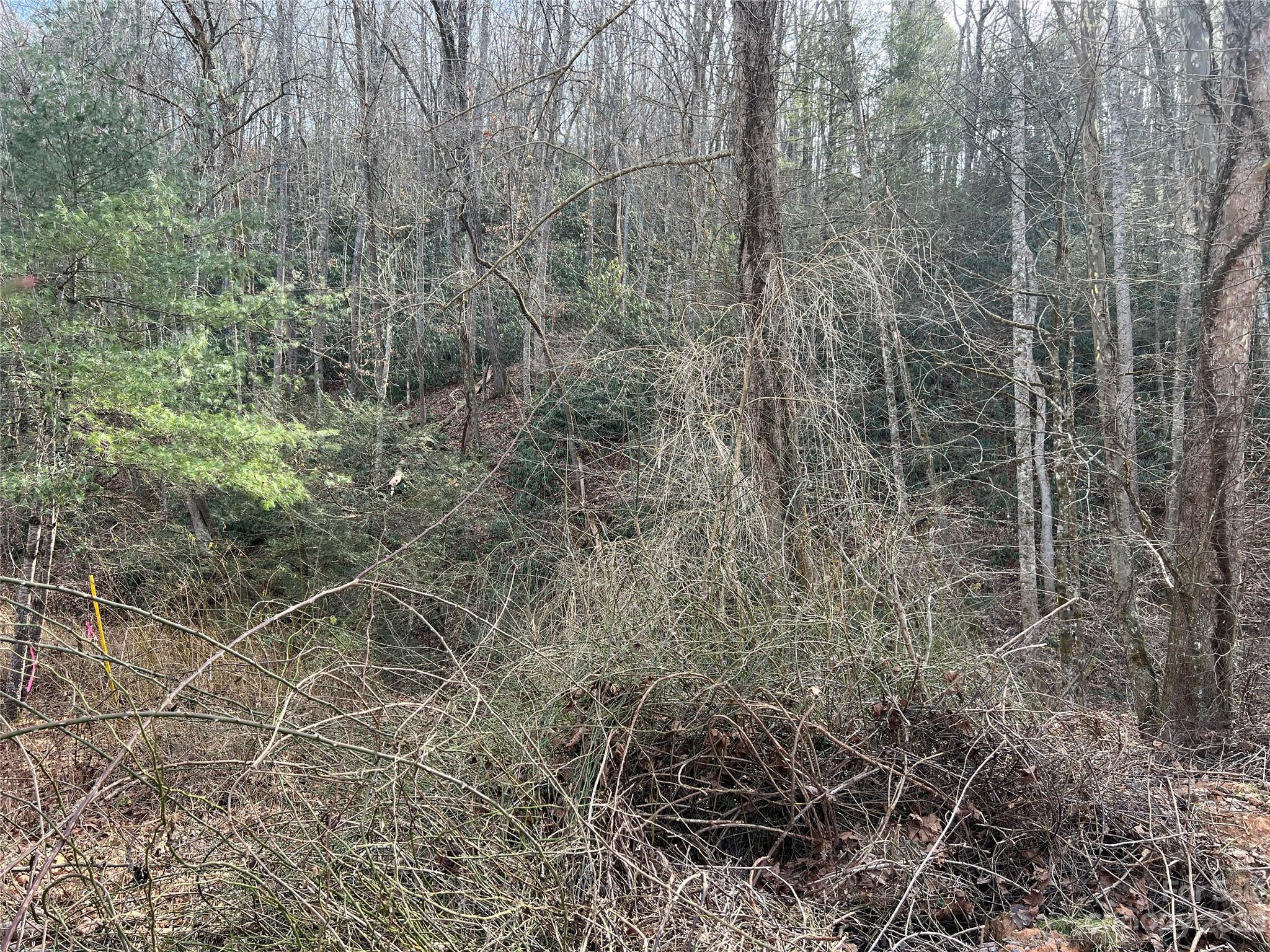Lot 19 Oakdale Estates Drive Property Photo 2