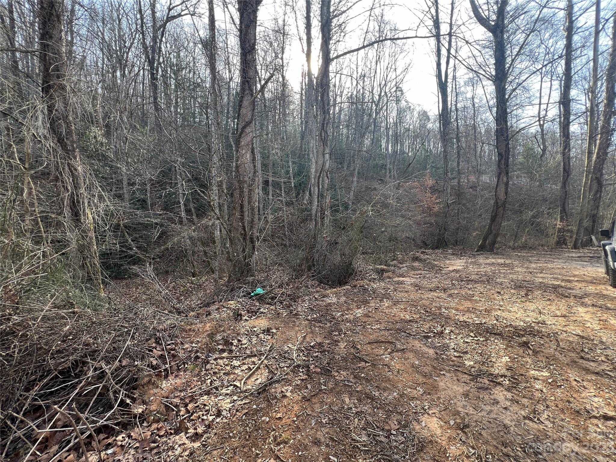 Lot 19 Oakdale Estates Drive Property Photo 3