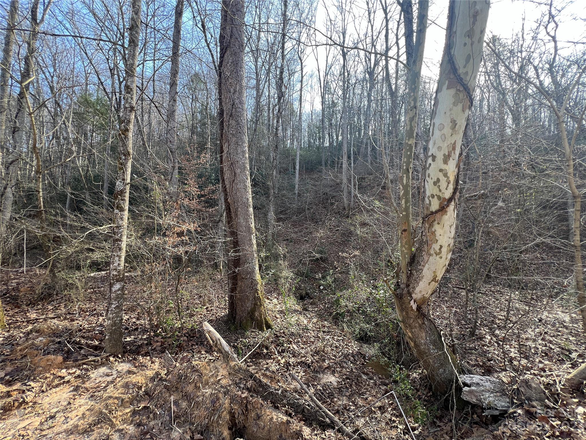 Lot 19 Oakdale Estates Drive Property Photo 4