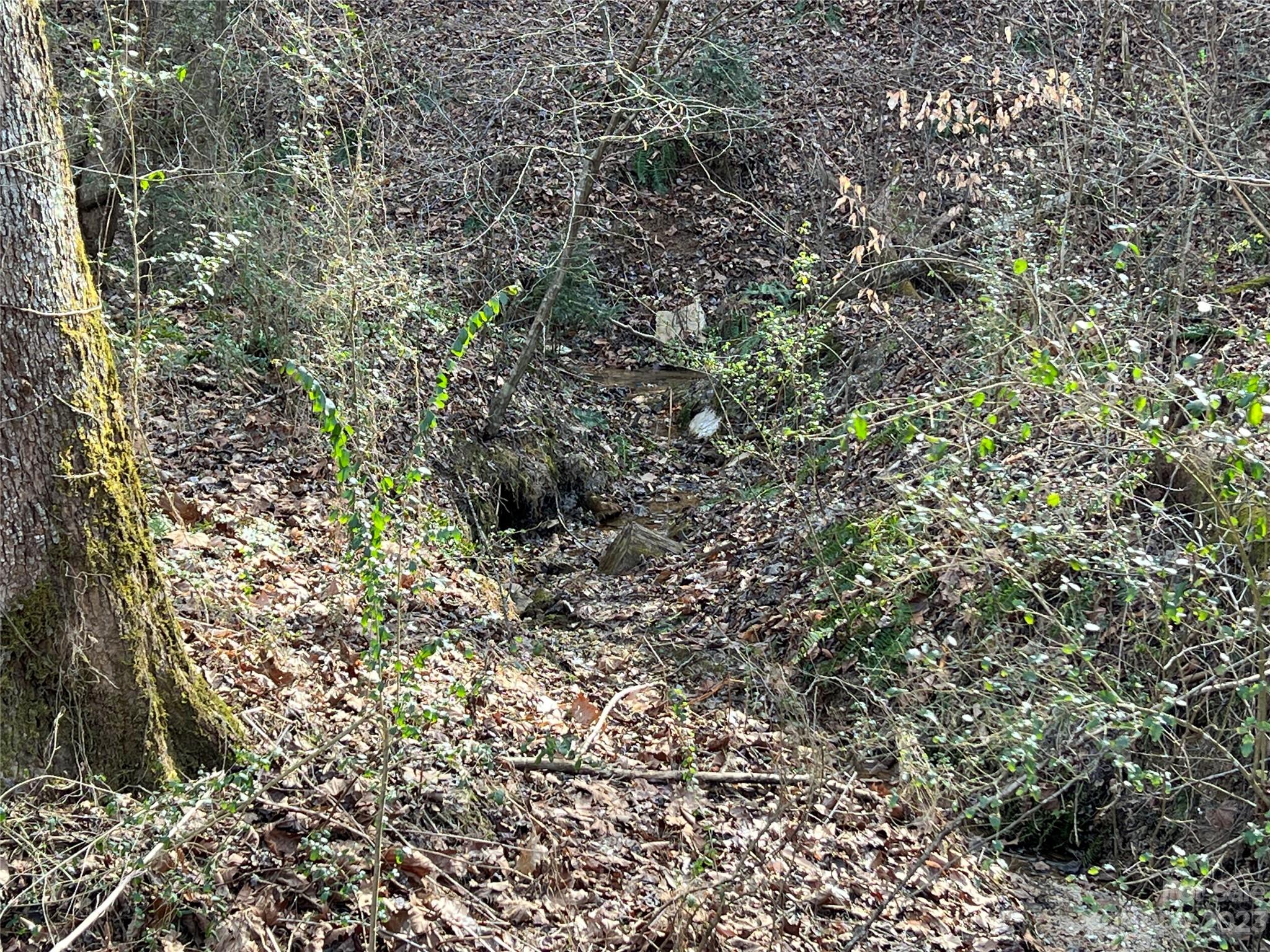 Lot 19 Oakdale Estates Drive Property Photo 5