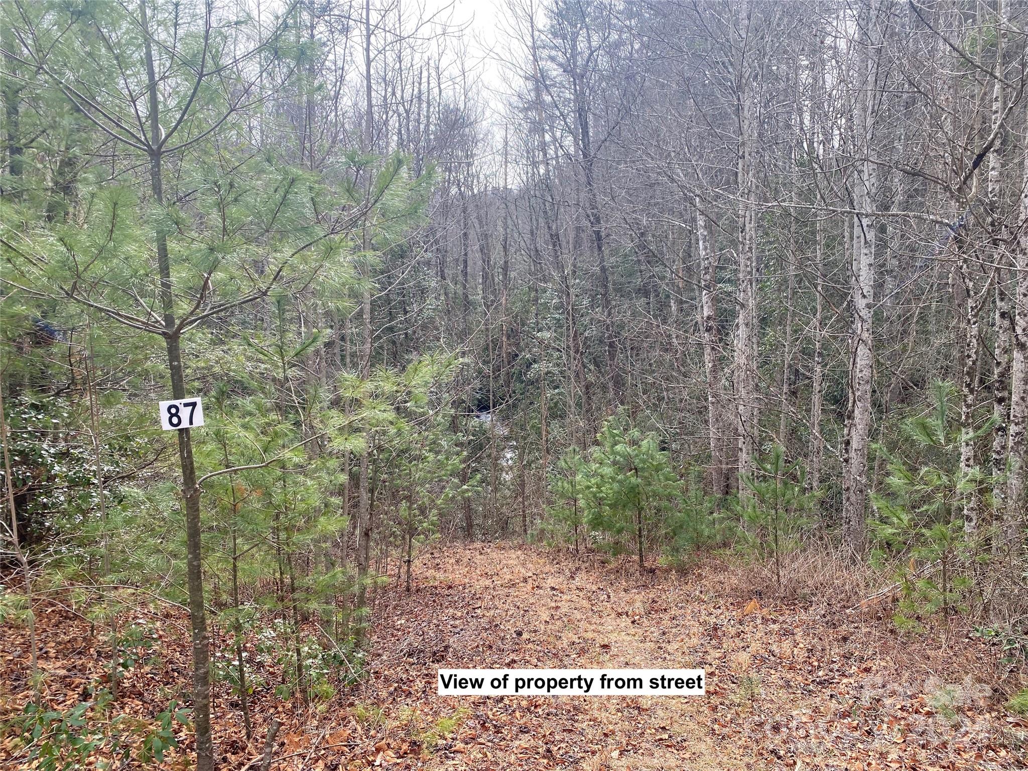 Lot 87 Peppervine Circle Property Photo