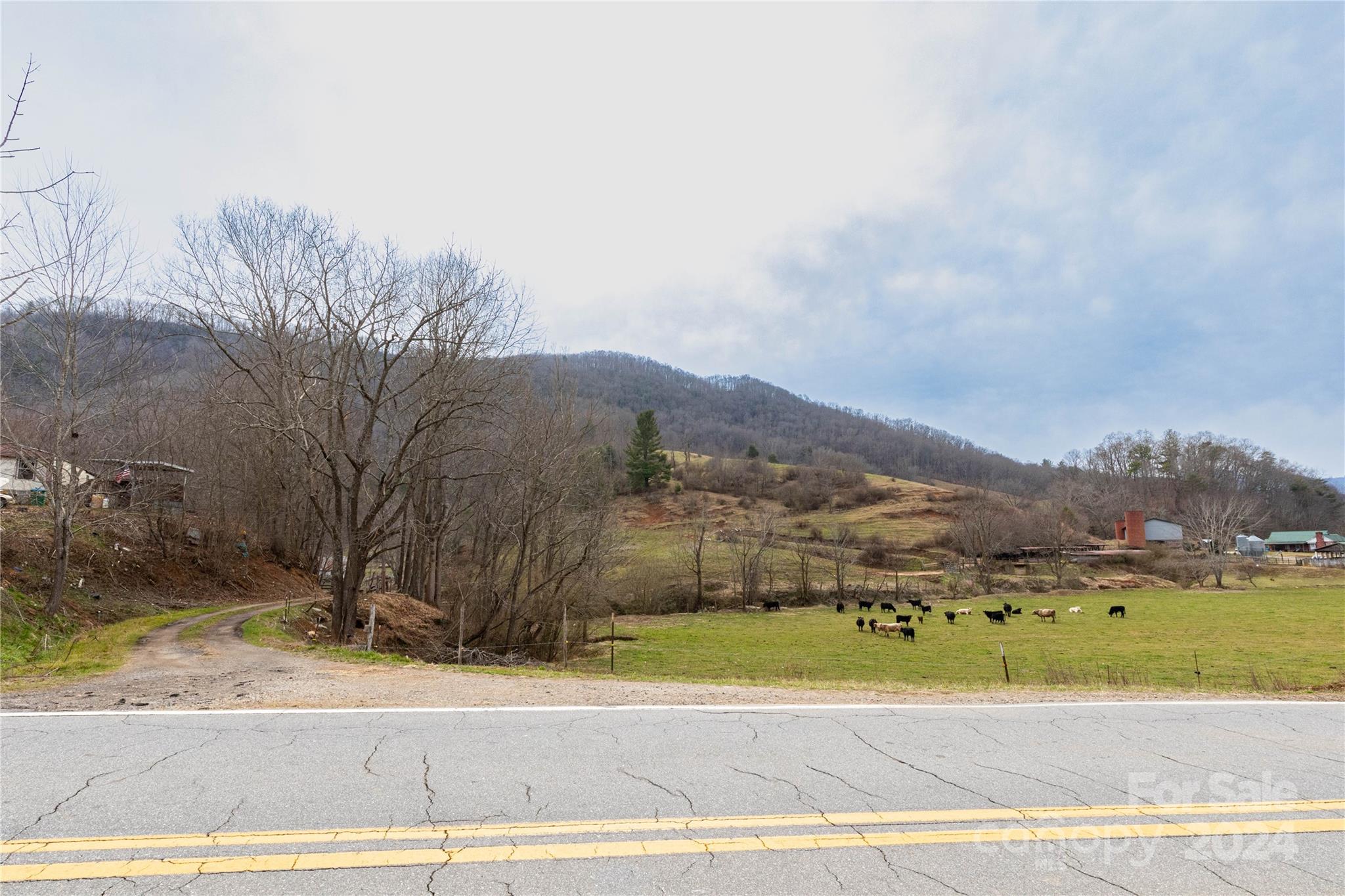 298 S Turkey Creek Road Property Photo 4