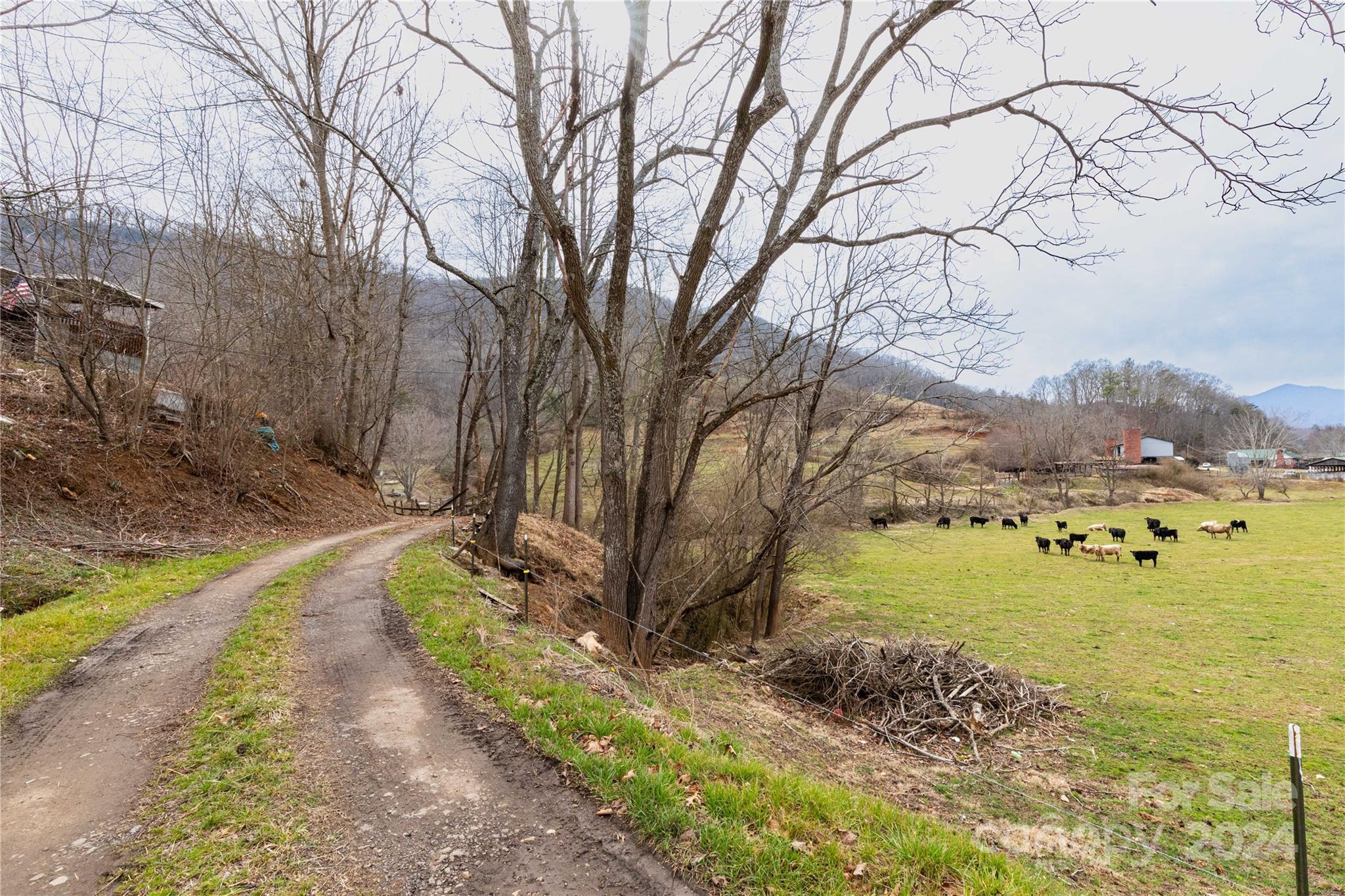 298 S Turkey Creek Road Property Photo 5