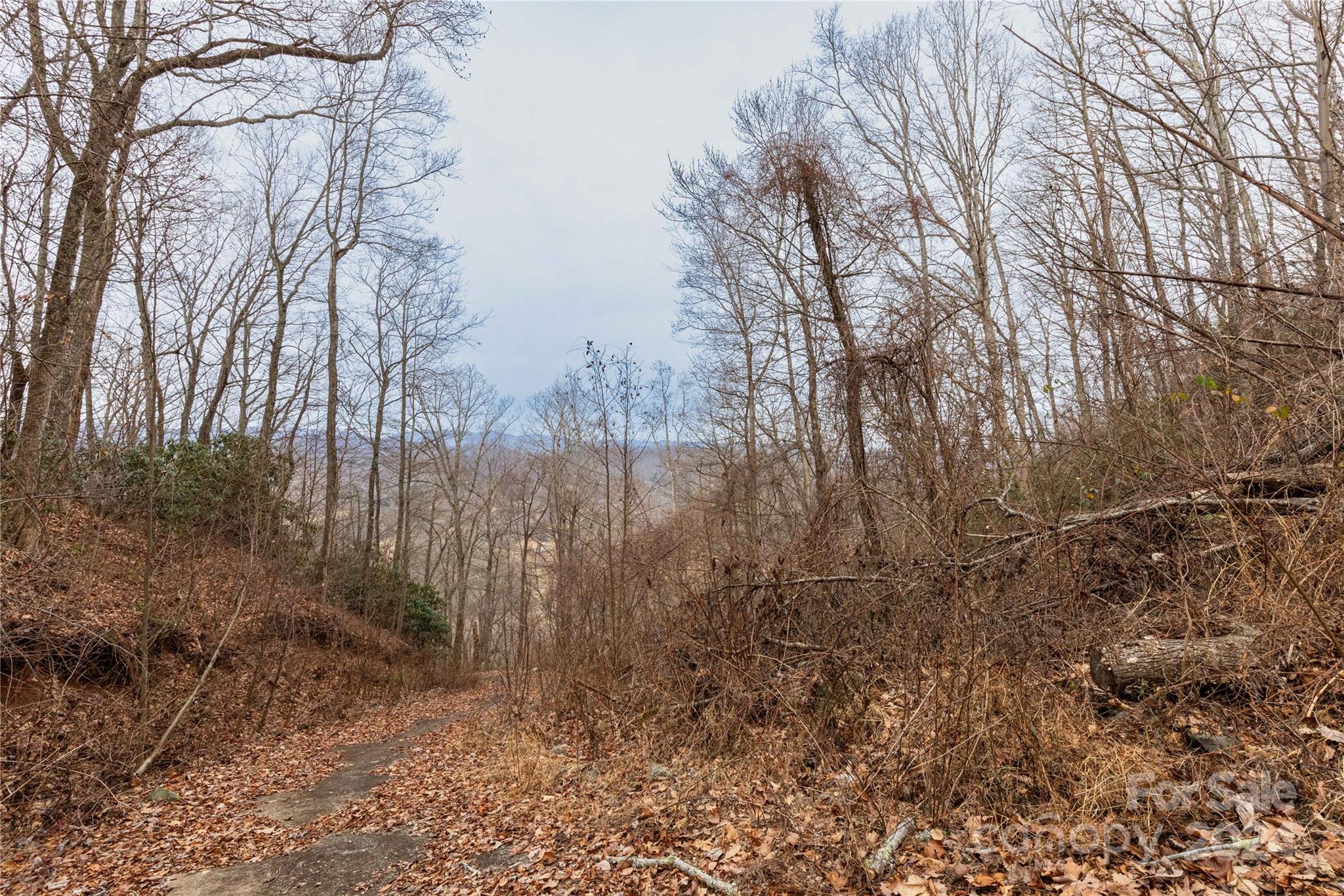 298 S Turkey Creek Road Property Photo 19
