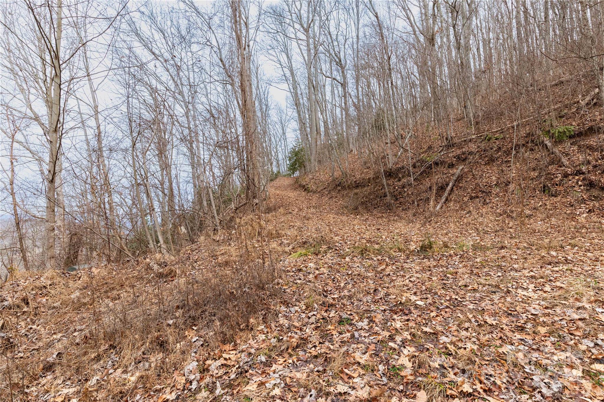 298 S Turkey Creek Road Property Photo 20