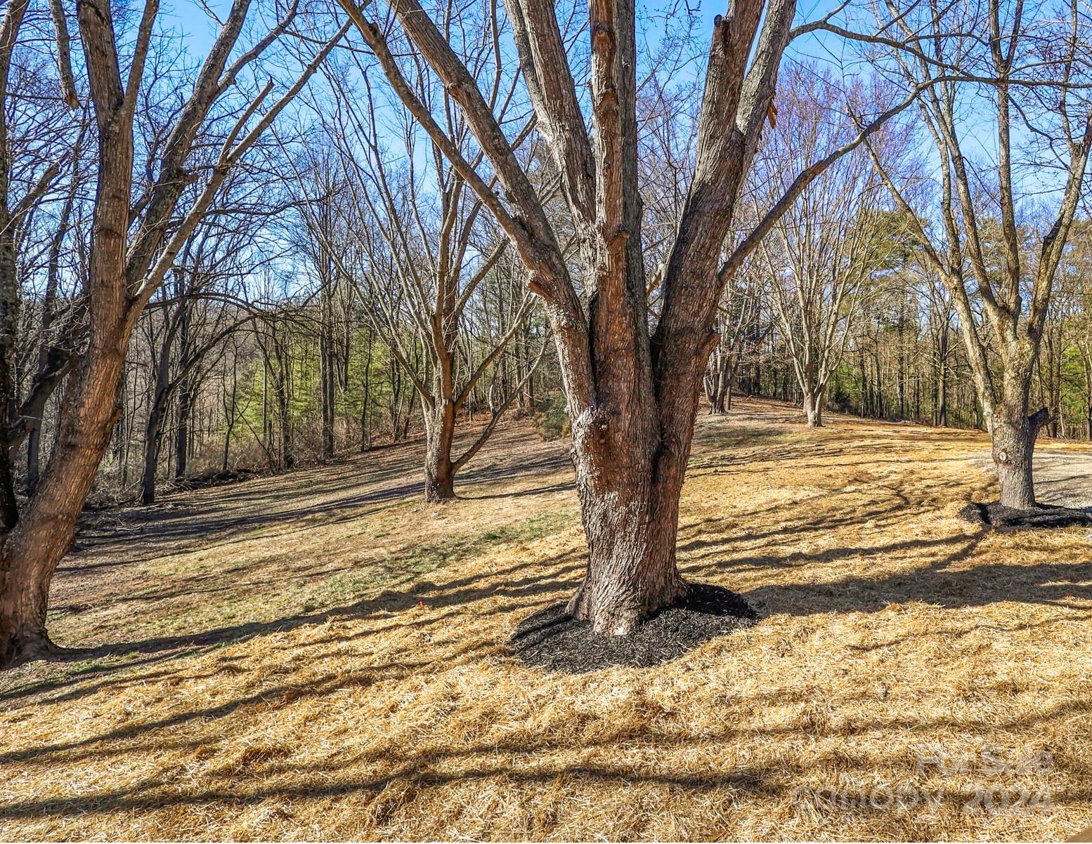 17 Hydrangea Drive Property Photo