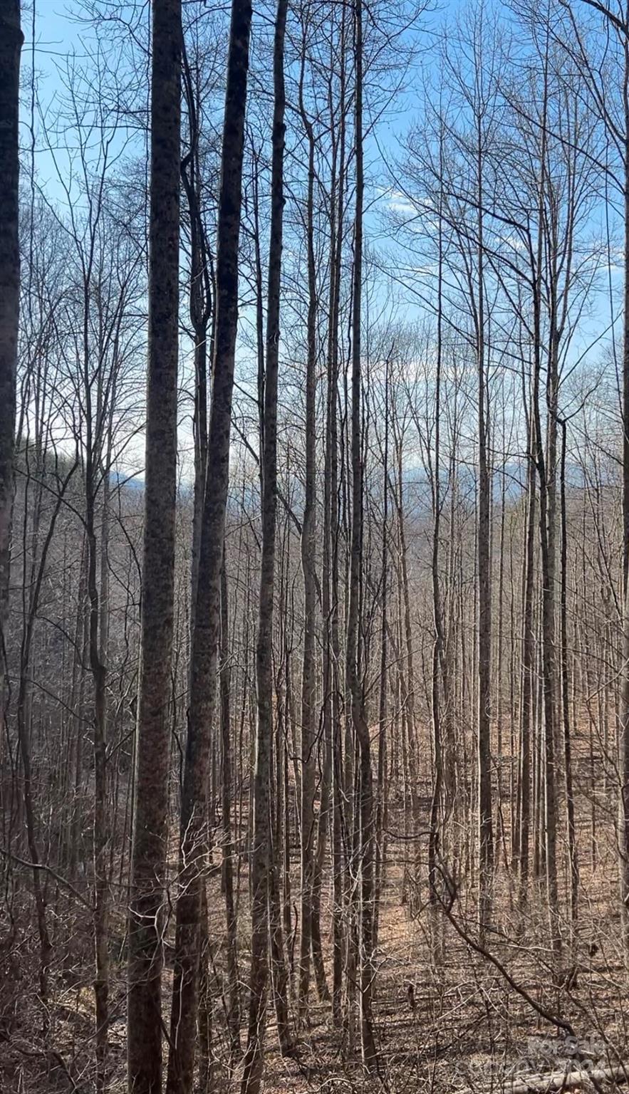 9999 One Feather Road Lot E103 Property Photo 7
