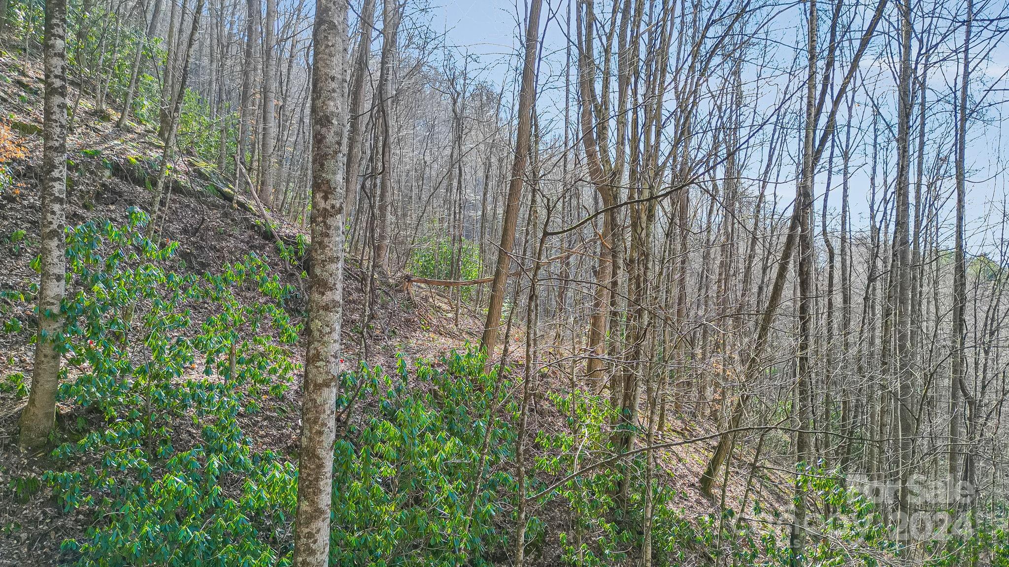 9999 One Feather Road Lot E103 Property Photo 9